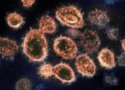 کشف روش از بین بردن ویروس کرونا طی 25 ثانیه!