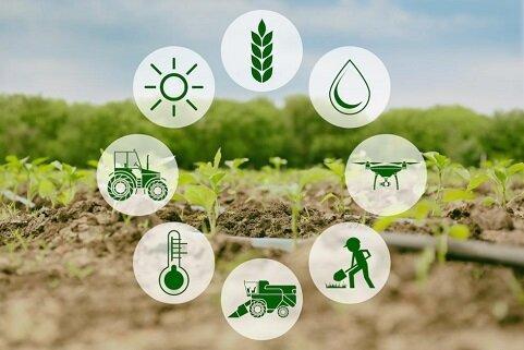 فعالیت 217 تشکل بخش کشاورزی در خراسان جنوبی برای افزایش بهره وری