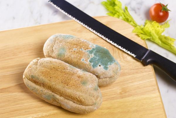 کپک می خوریم یا نه؟